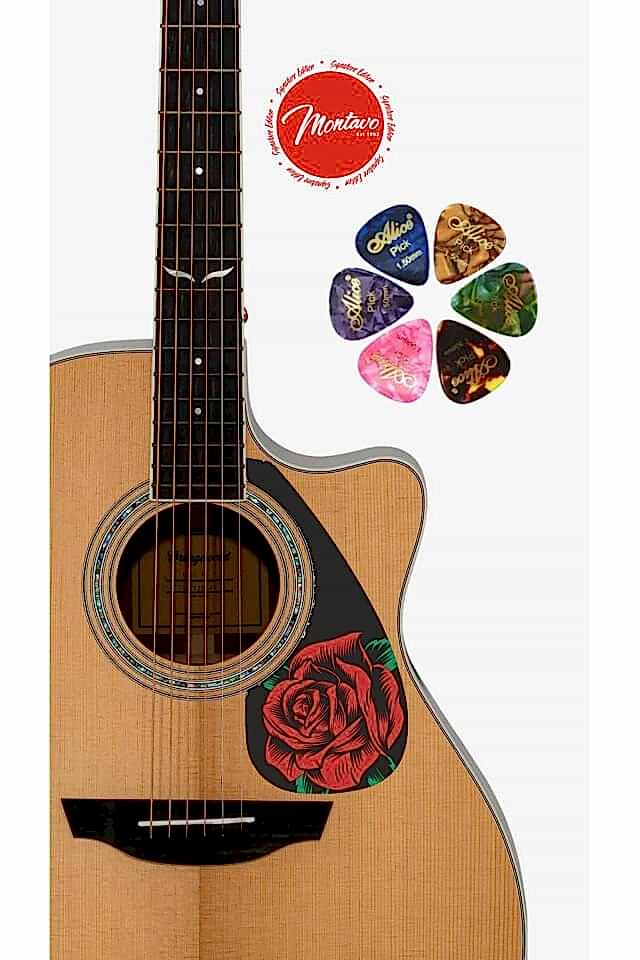 6'lı Gitar Penası + Pena Korumalığı Set
