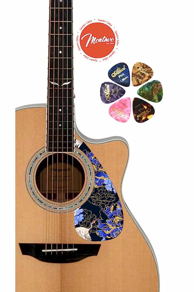 6'lı Gitar Penası + Pena Korumalığı Set
