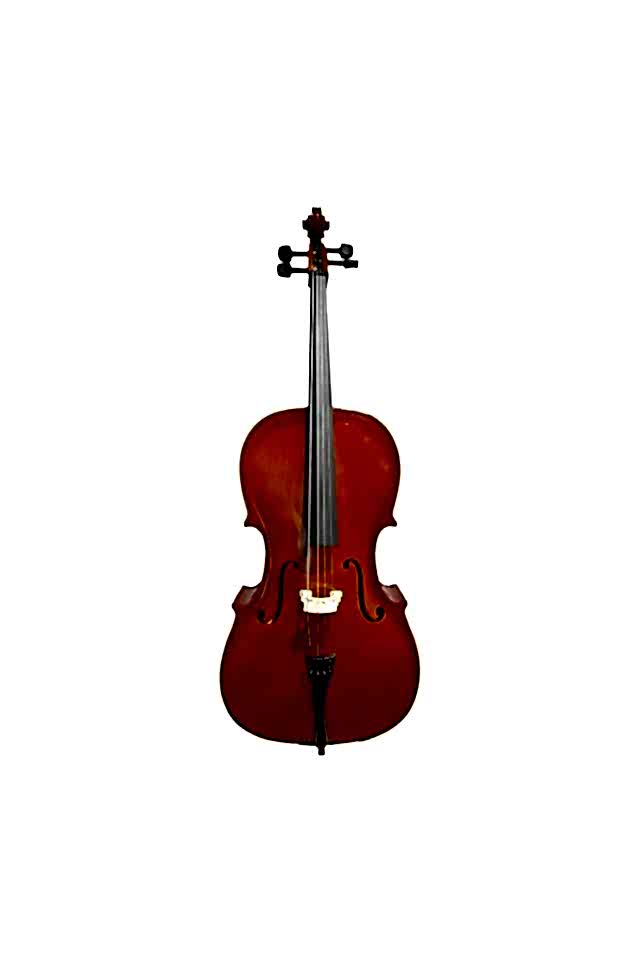 4/4 Parlak Büyük Boy Çello
