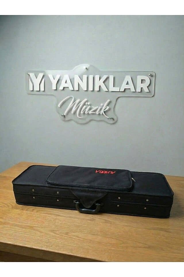 Almeria AM22407 4/4 Profesyonel Parlak Keman Kare Kutu - Tam Boy